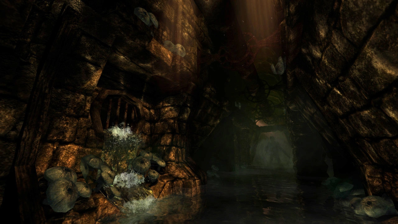 Amnesia: The Dark Descent - Additional Image 4