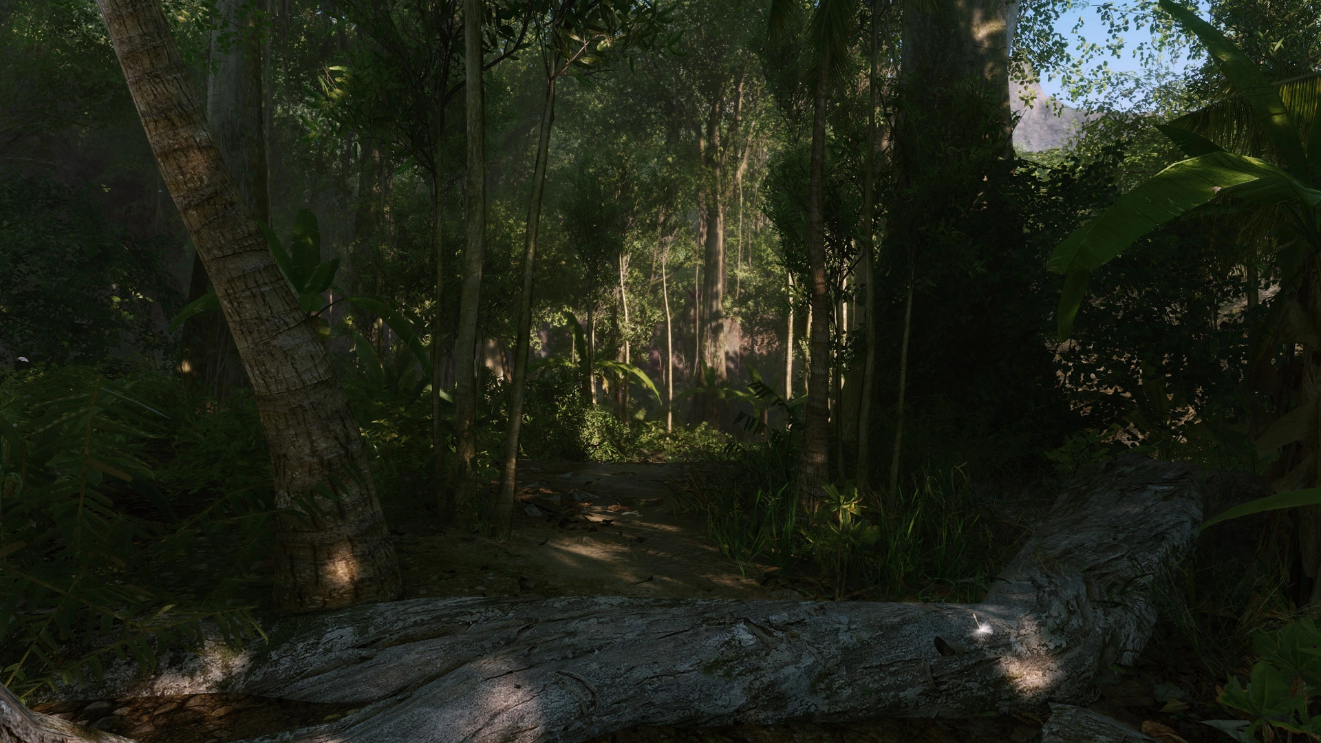 Crysis Remastered - Additional Image 3