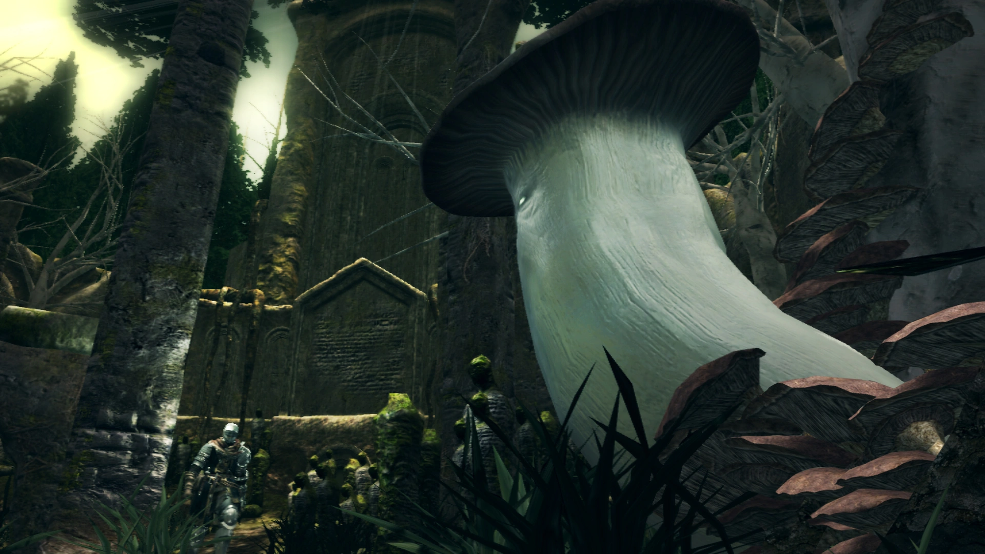 Dark Souls: Prepare to Die Edition - Additional Image 5