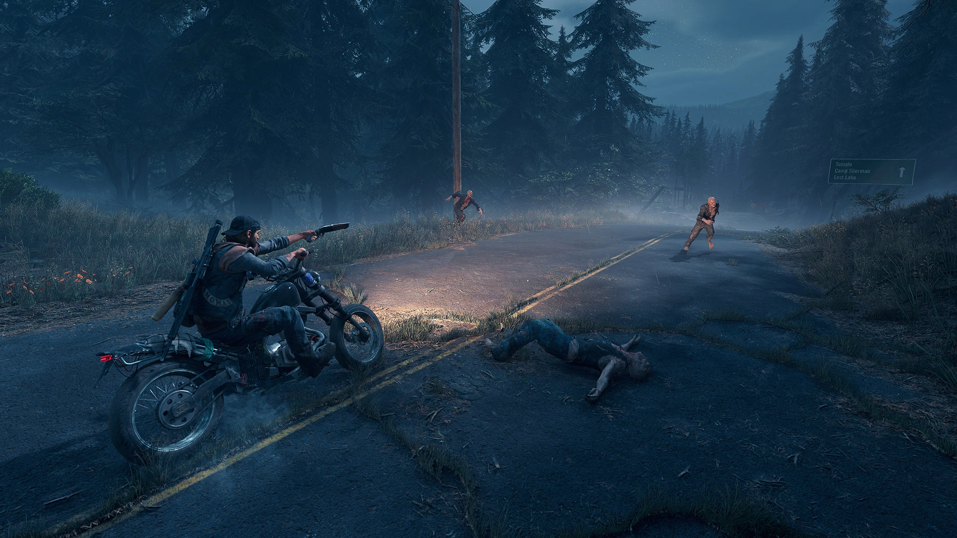 Days Gone - Additional Image 4