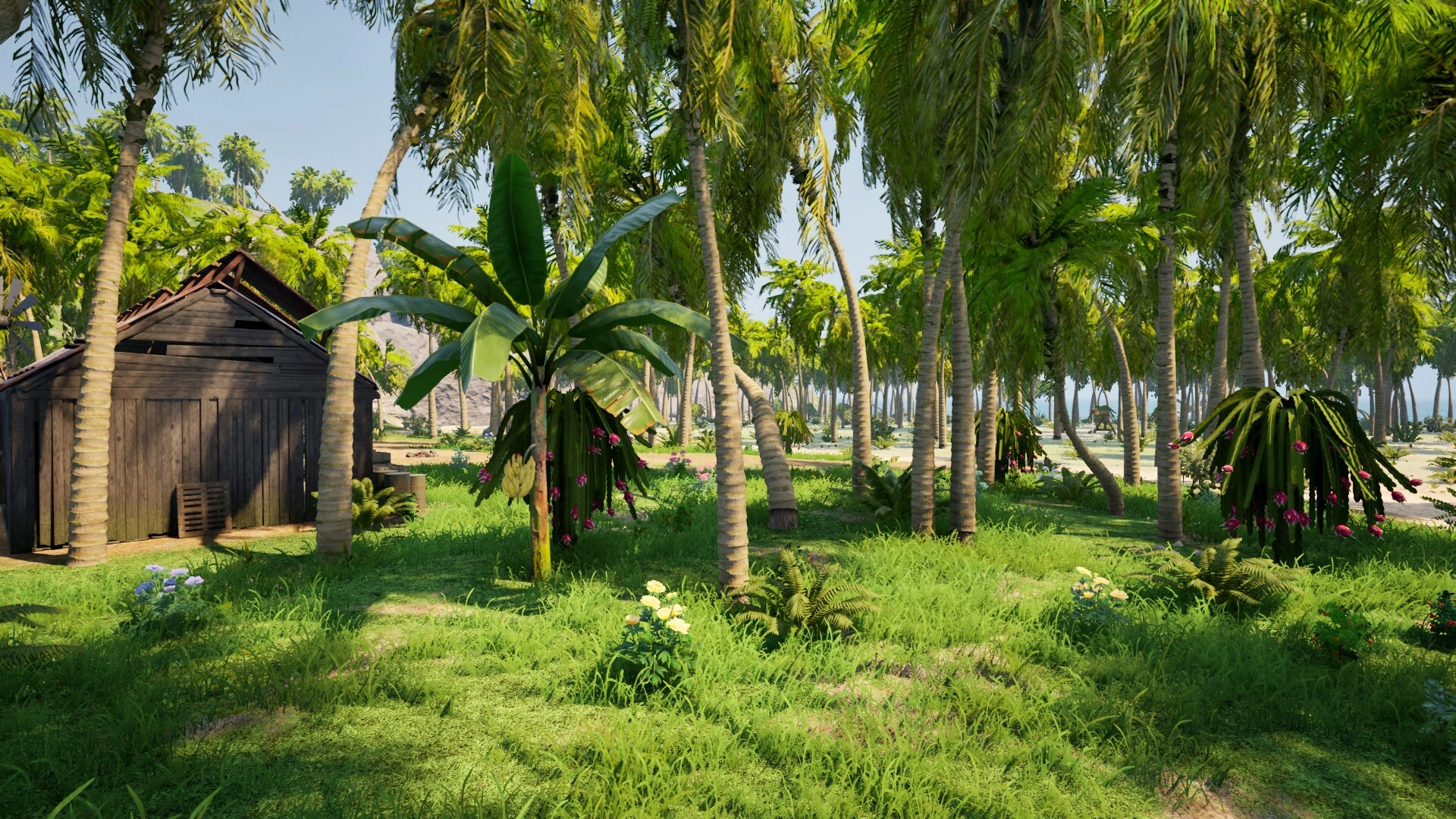 Dig Island - Additional Image 4