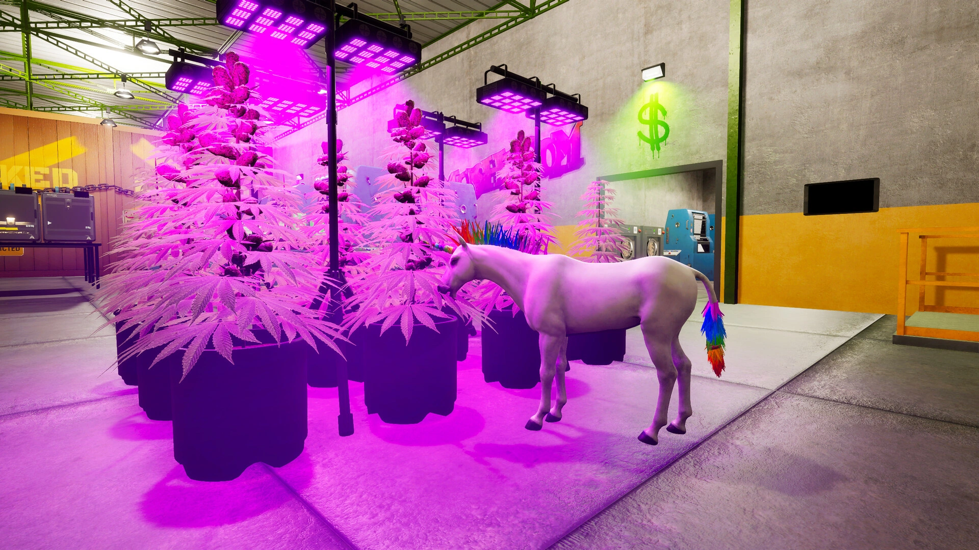 Dirty Business - Additional Image 1