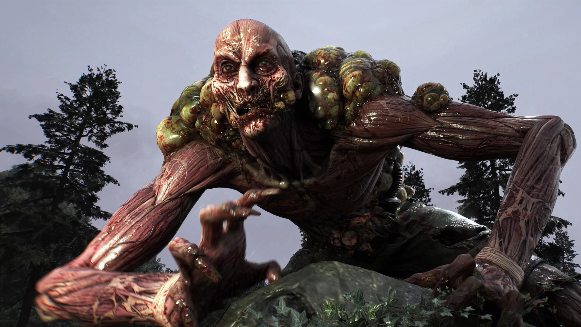Dying Light: The Beast - Additional Image 6