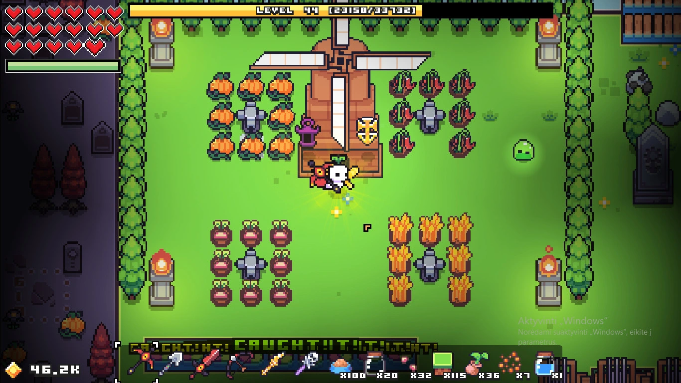 Forager - Additional Image 8