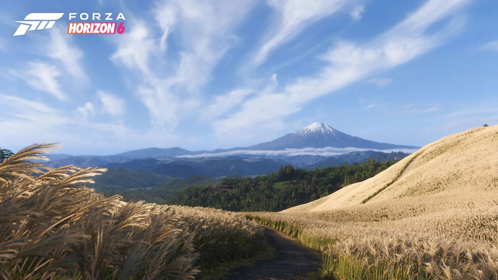 Forza Horizon 6 - Additional Image 4