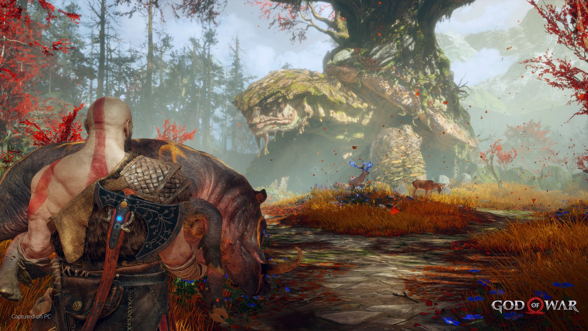 God of War - Additional Image 7
