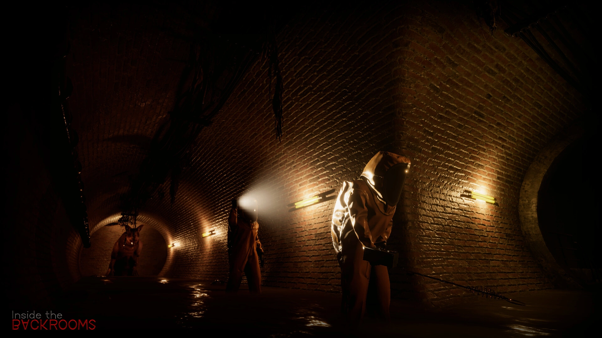 Inside the Backrooms - Additional Image 0