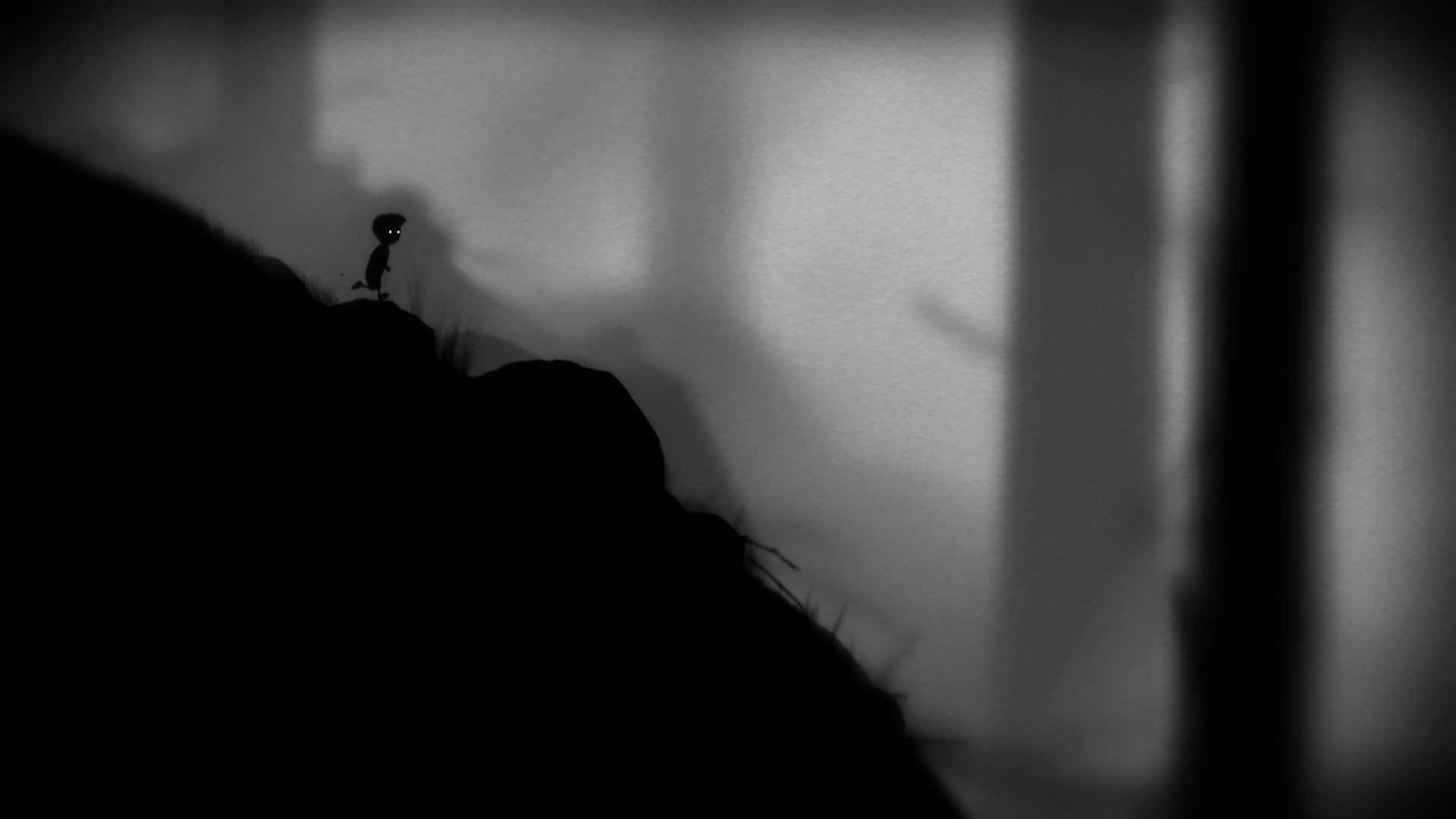 Limbo - Additional Image 5