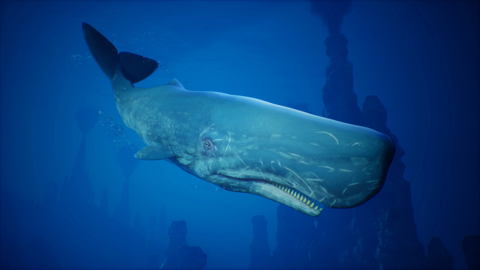 Maneater - Additional Image 5