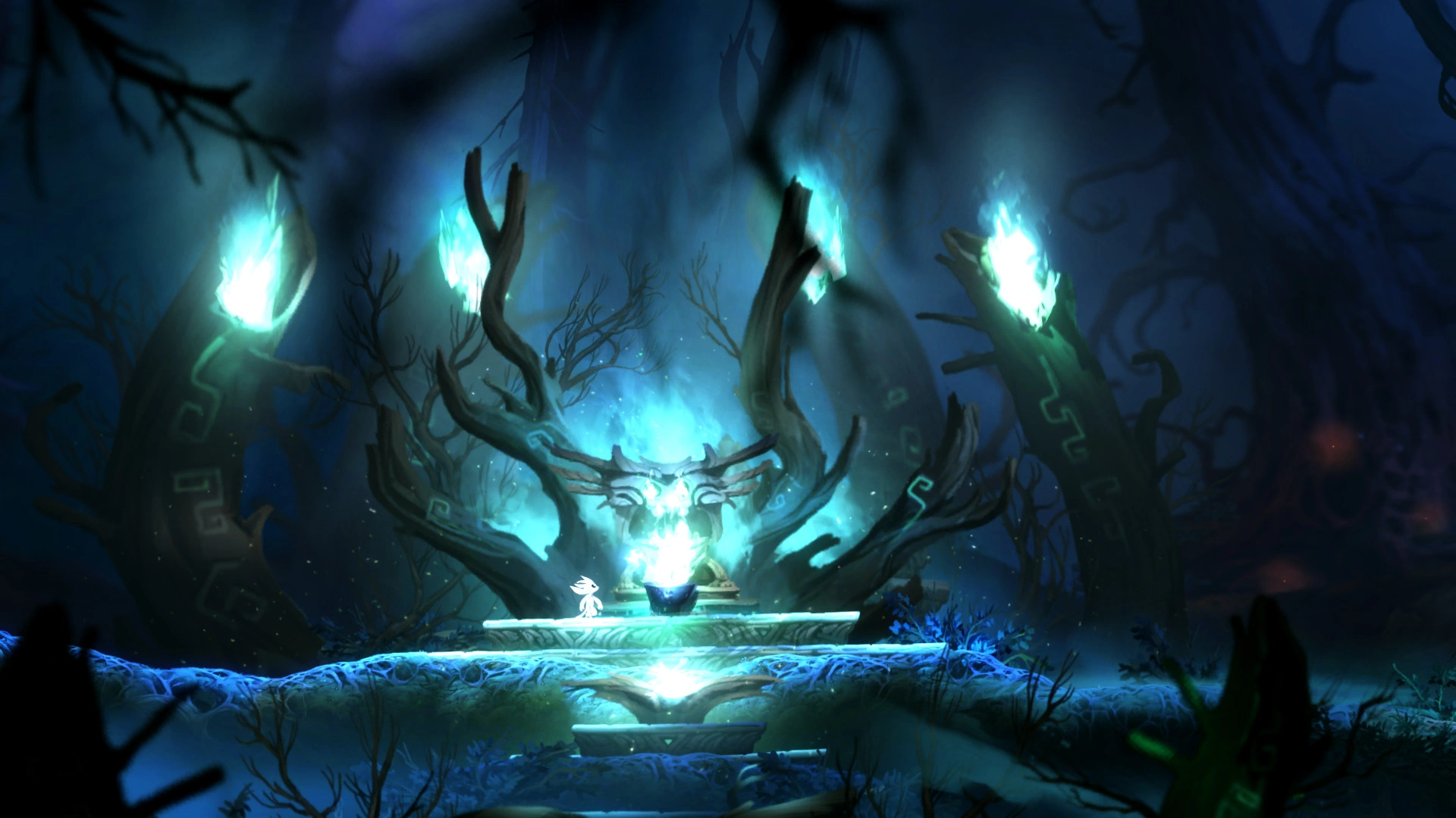 Ori and the Blind Forest: Definitive Edition - Additional Image 14