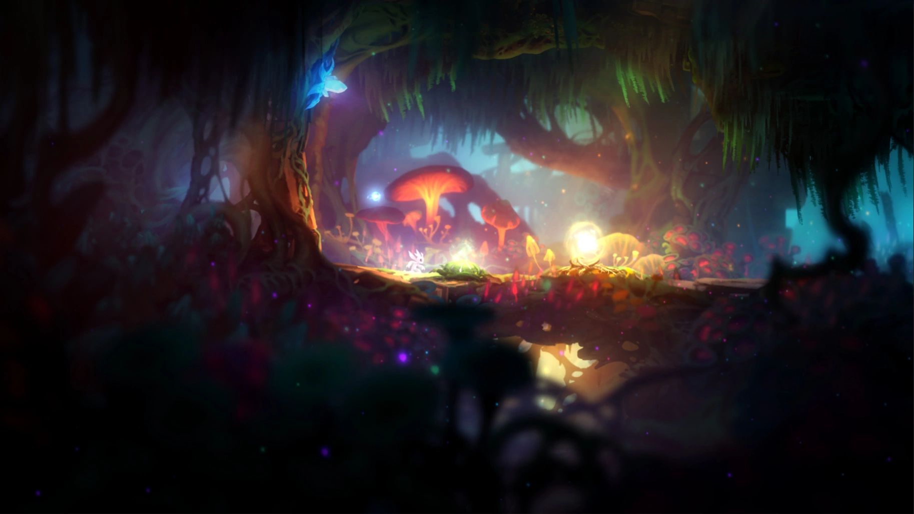 Ori and the Blind Forest: Definitive Edition - Additional Image 18