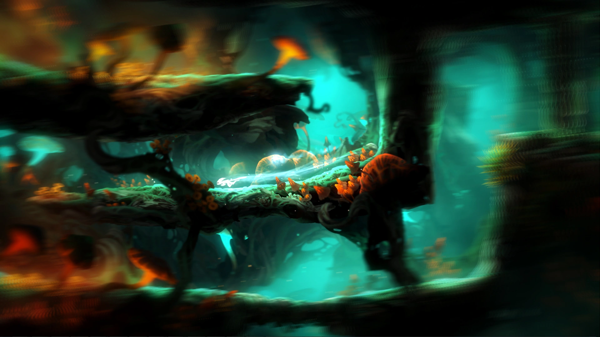 Ori and the Blind Forest: Definitive Edition - Additional Image 16