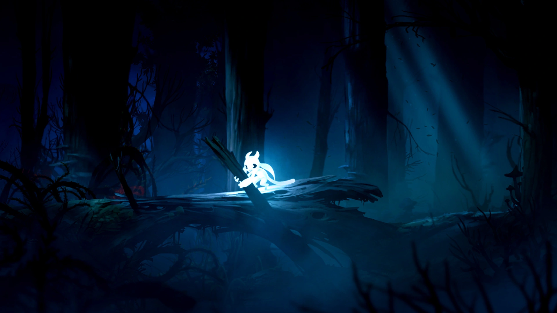 Ori and the Blind Forest: Definitive Edition - Additional Image 8