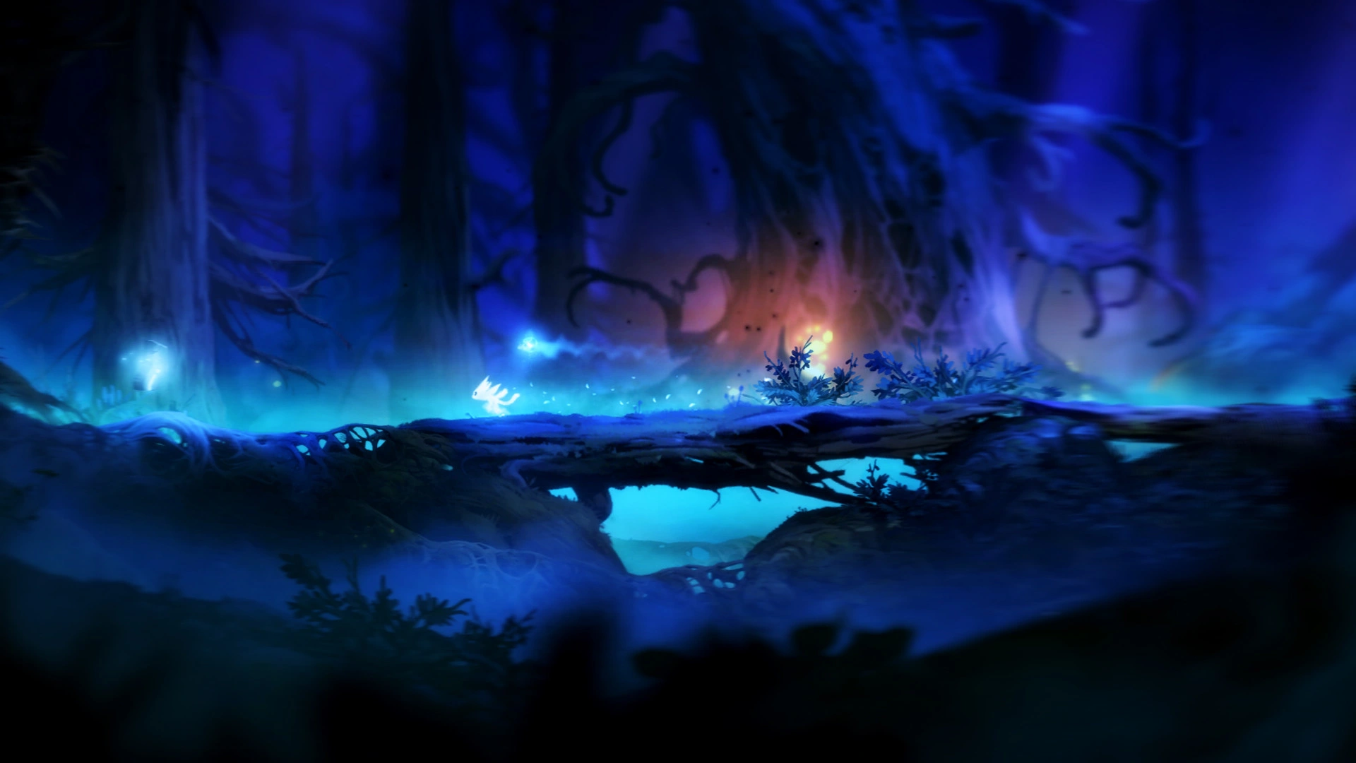 Ori and the Blind Forest: Definitive Edition - Additional Image 3