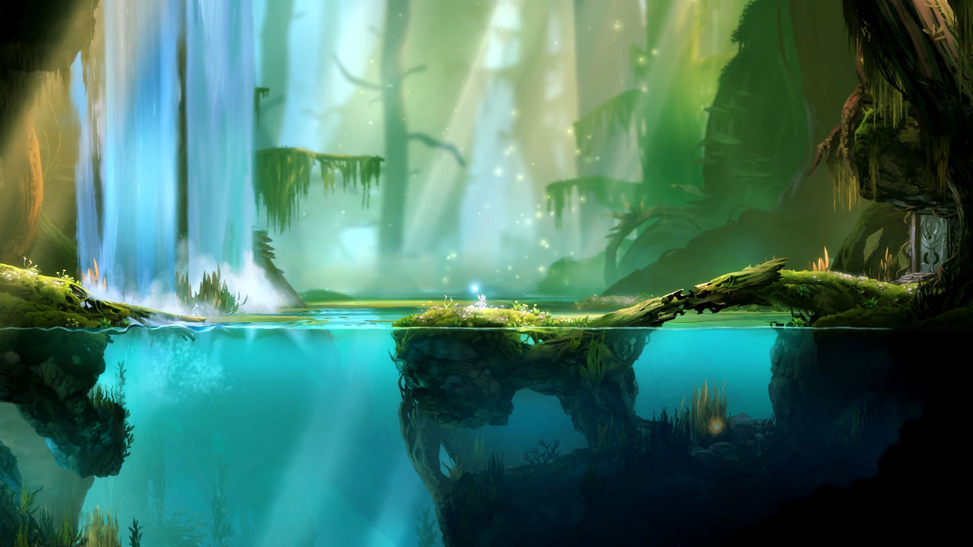 Ori and the Blind Forest: Definitive Edition - Additional Image 0