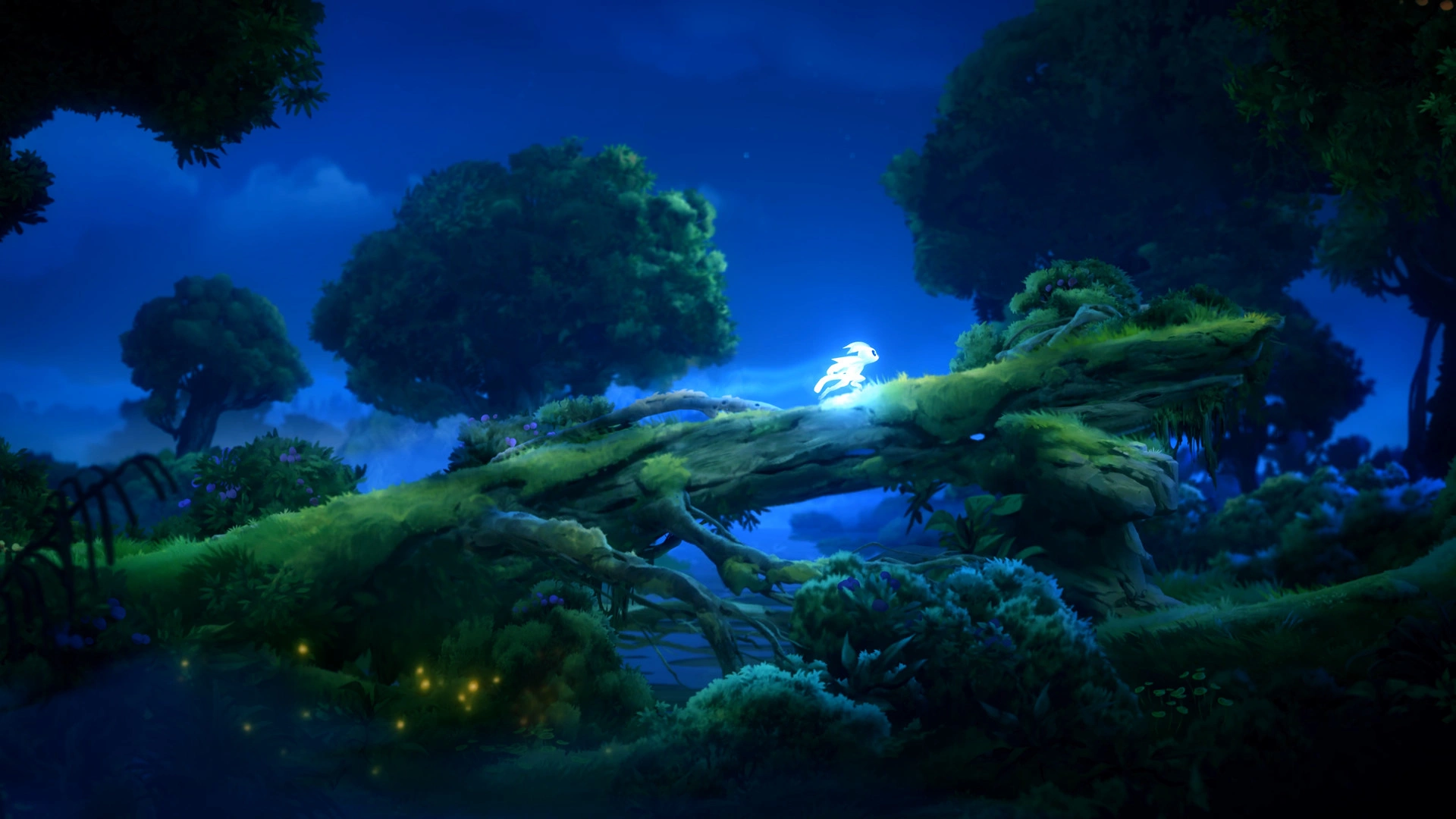 Ori and the Will of the Wisps - Additional Image 7