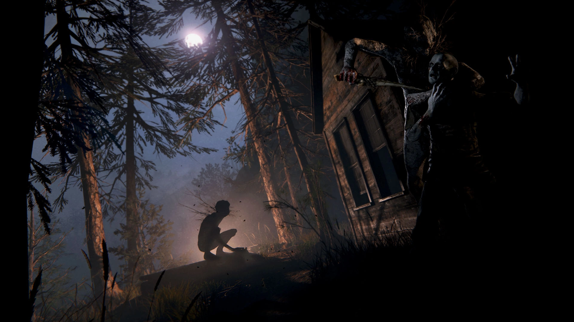 Outlast 2 - Additional Image 3