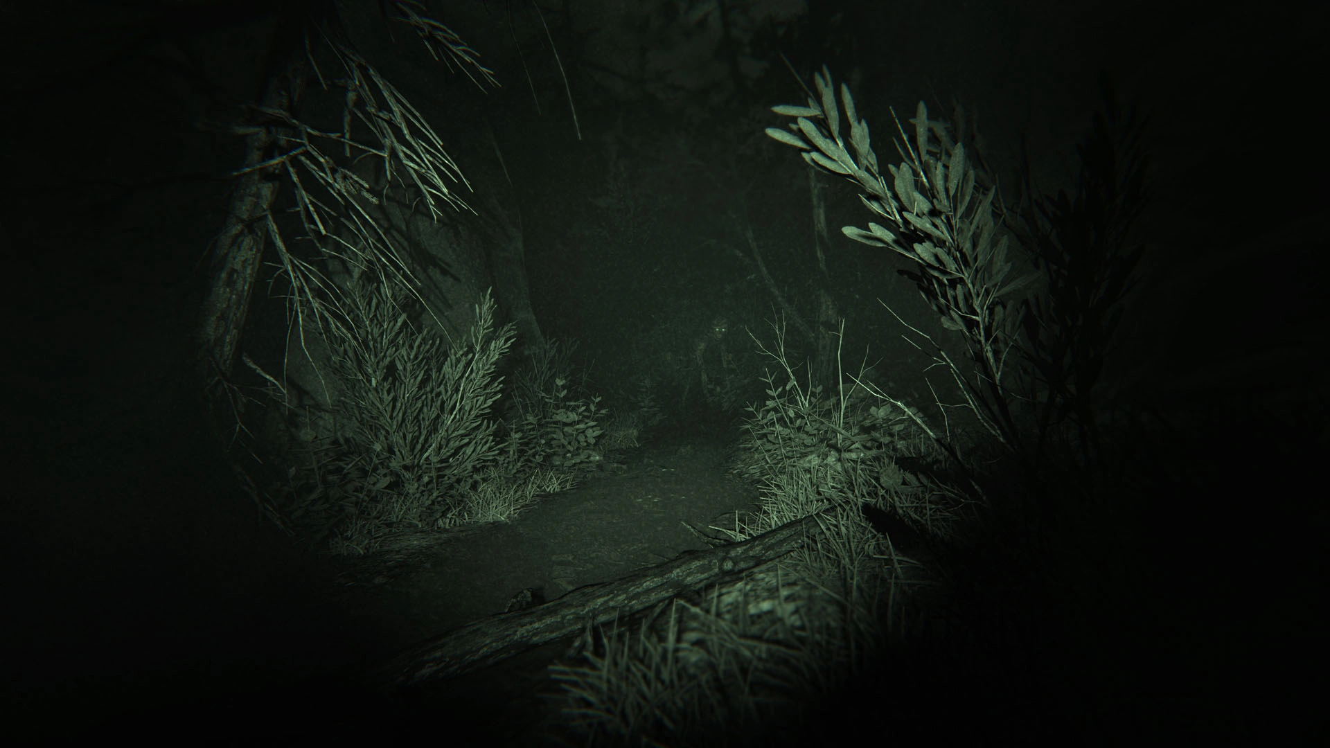 Outlast 2 - Additional Image 14