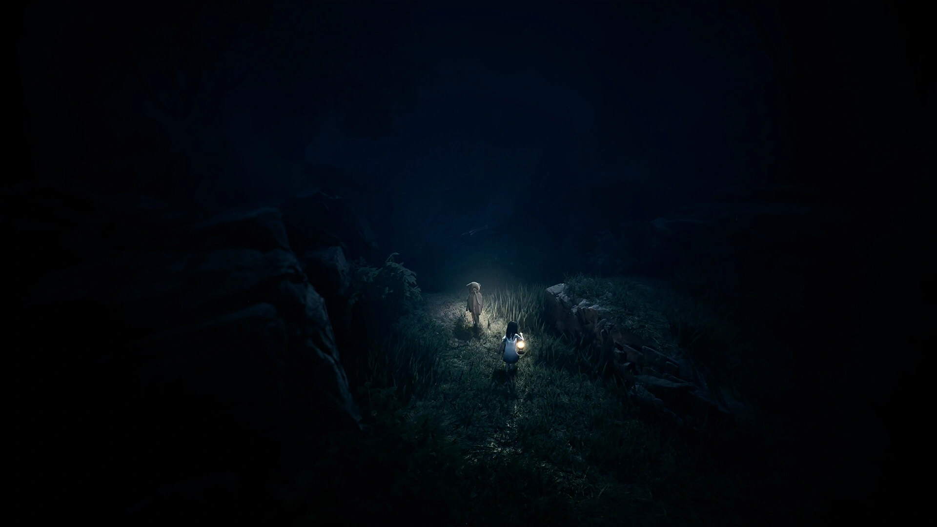 REANIMAL - Additional Image 8