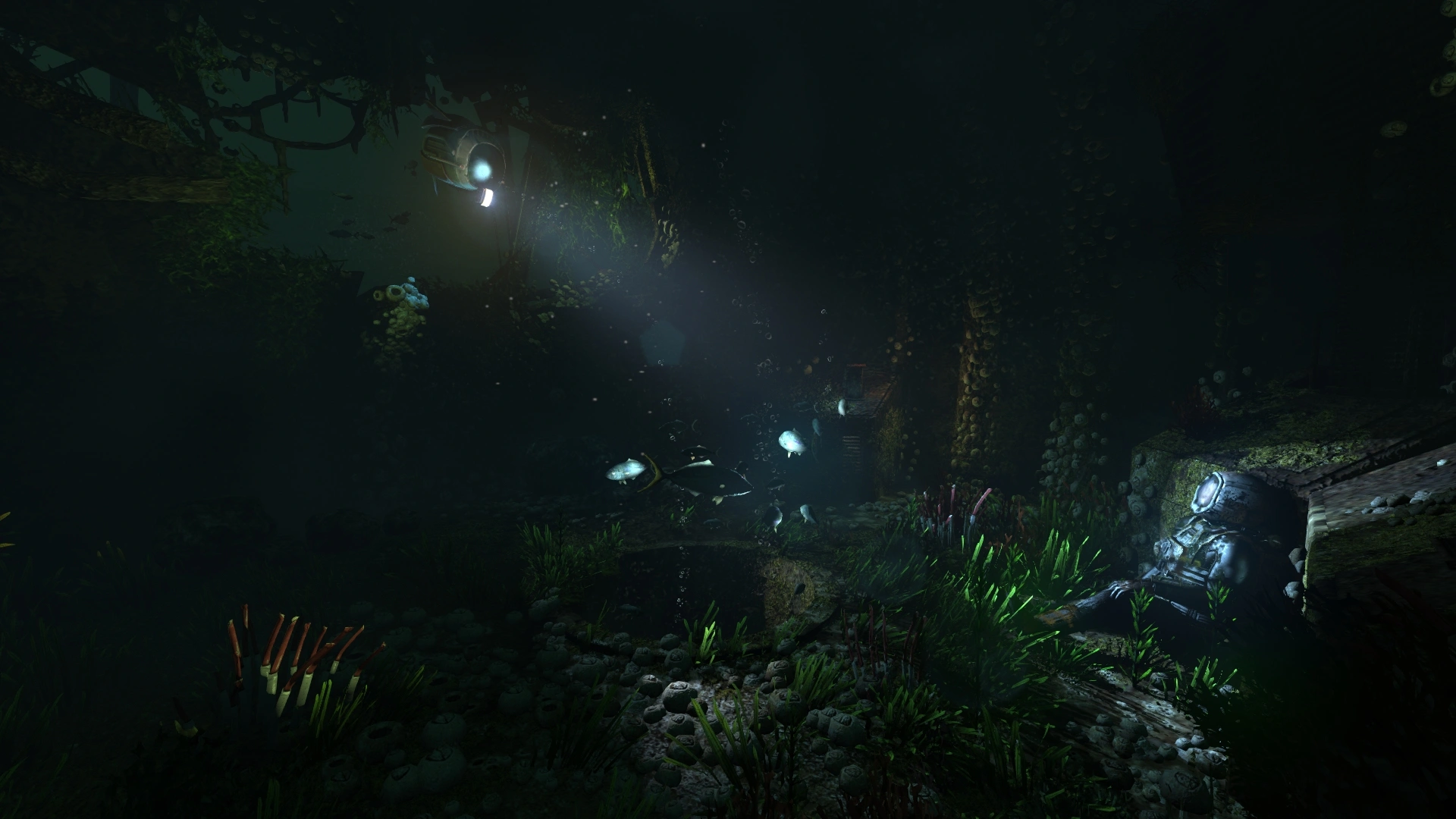 SOMA - Additional Image 4