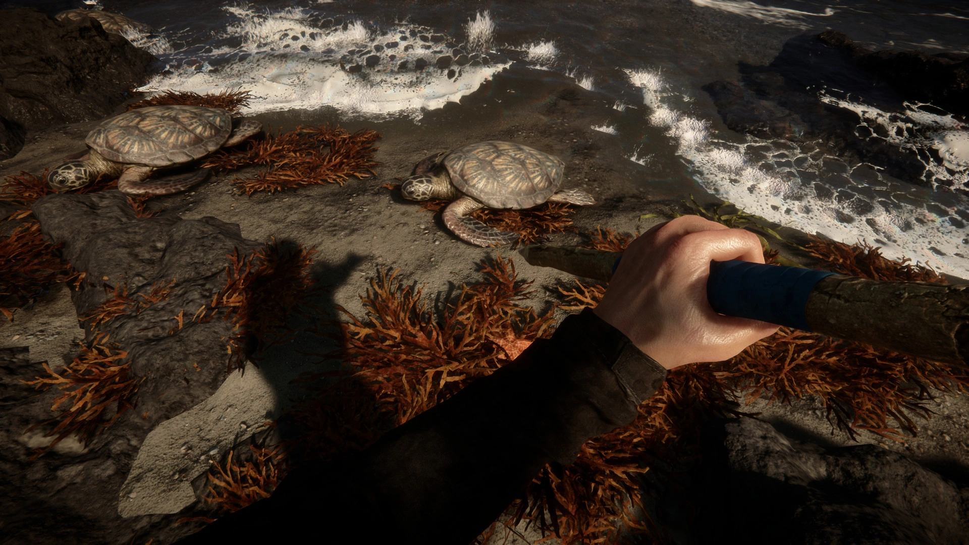Sons Of The Forest - Additional Image 6