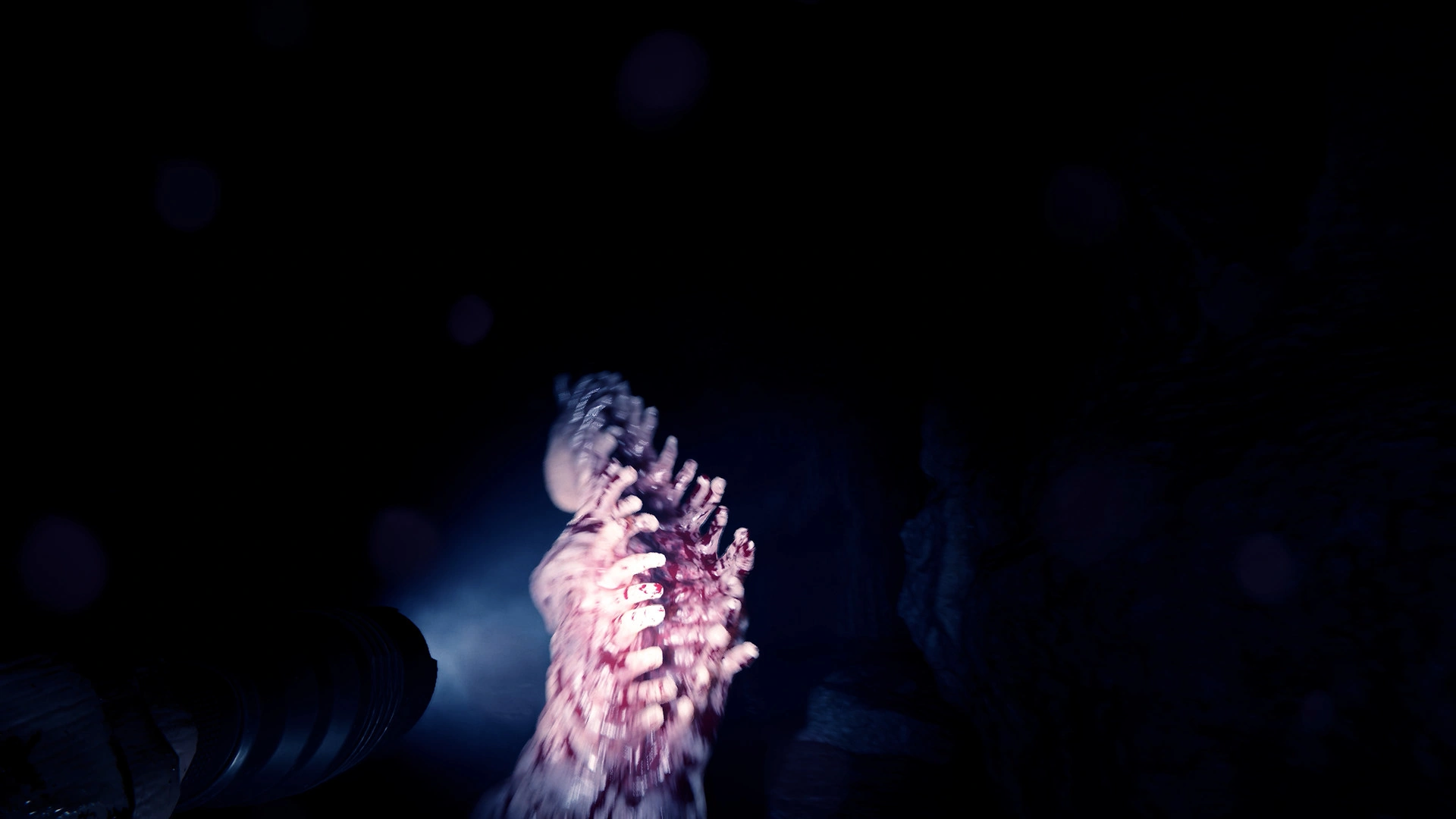 Sons Of The Forest - Additional Image 5