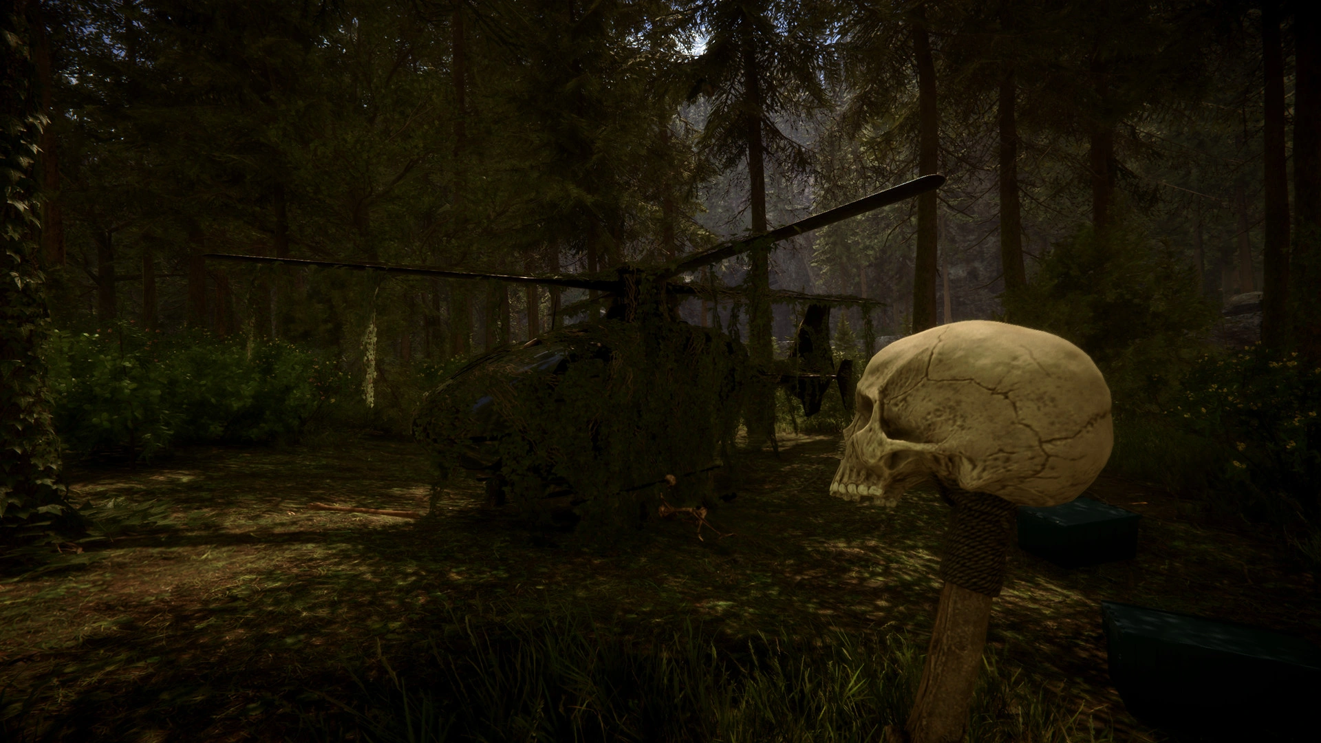 Sons Of The Forest - Additional Image 0