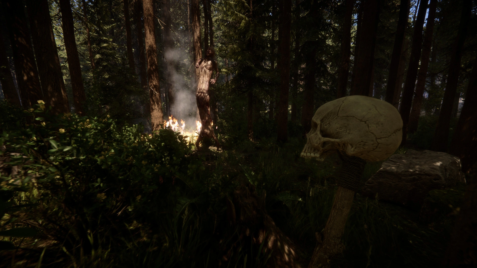 Sons Of The Forest - Additional Image 7