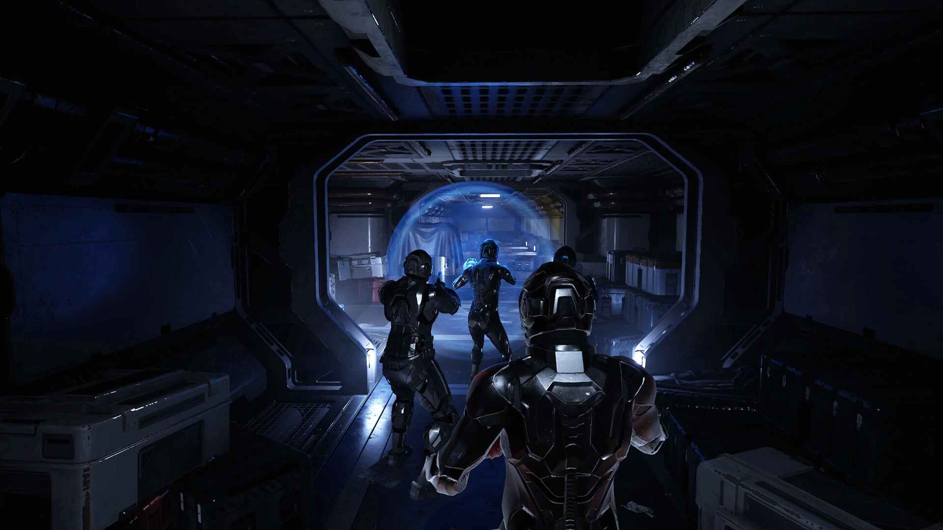 Species: Unknown - Additional Image 5