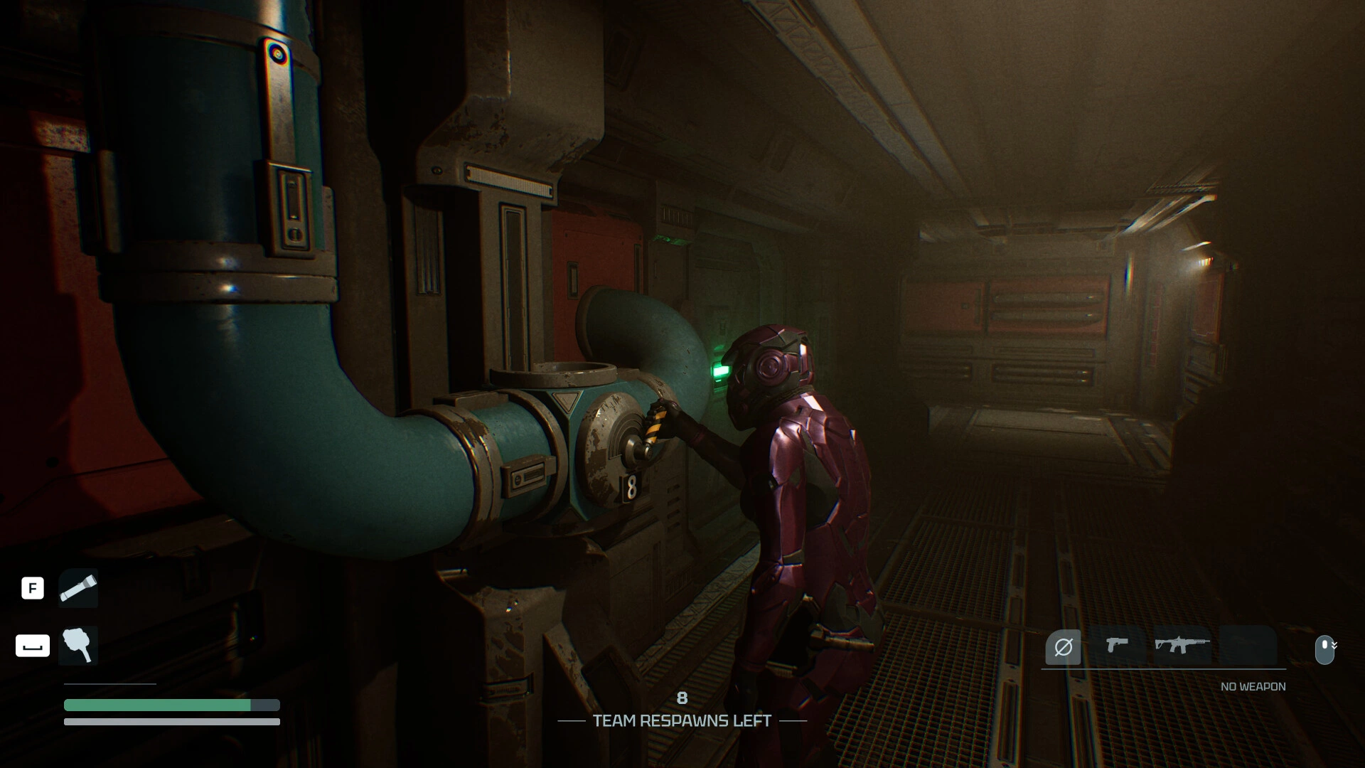 Species: Unknown - Additional Image 4