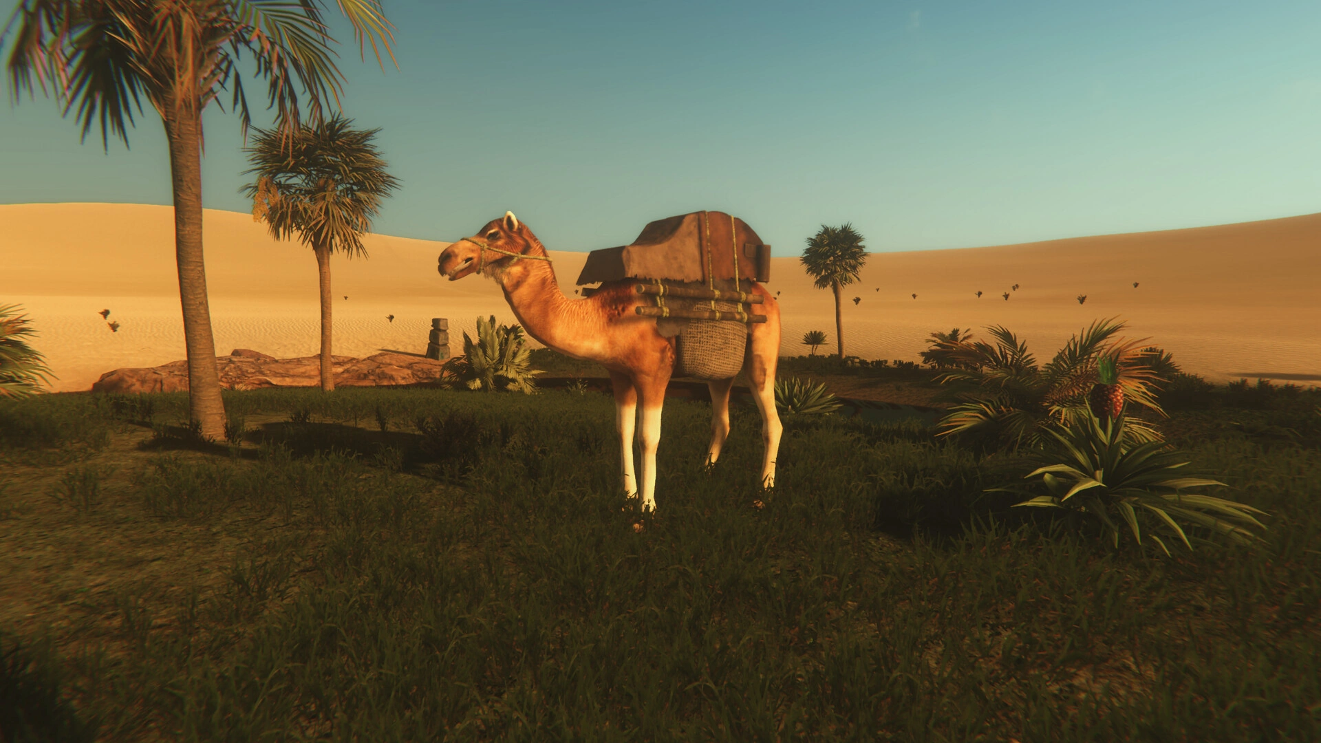 Starsand Digital Supporter Edition - Additional Image 4