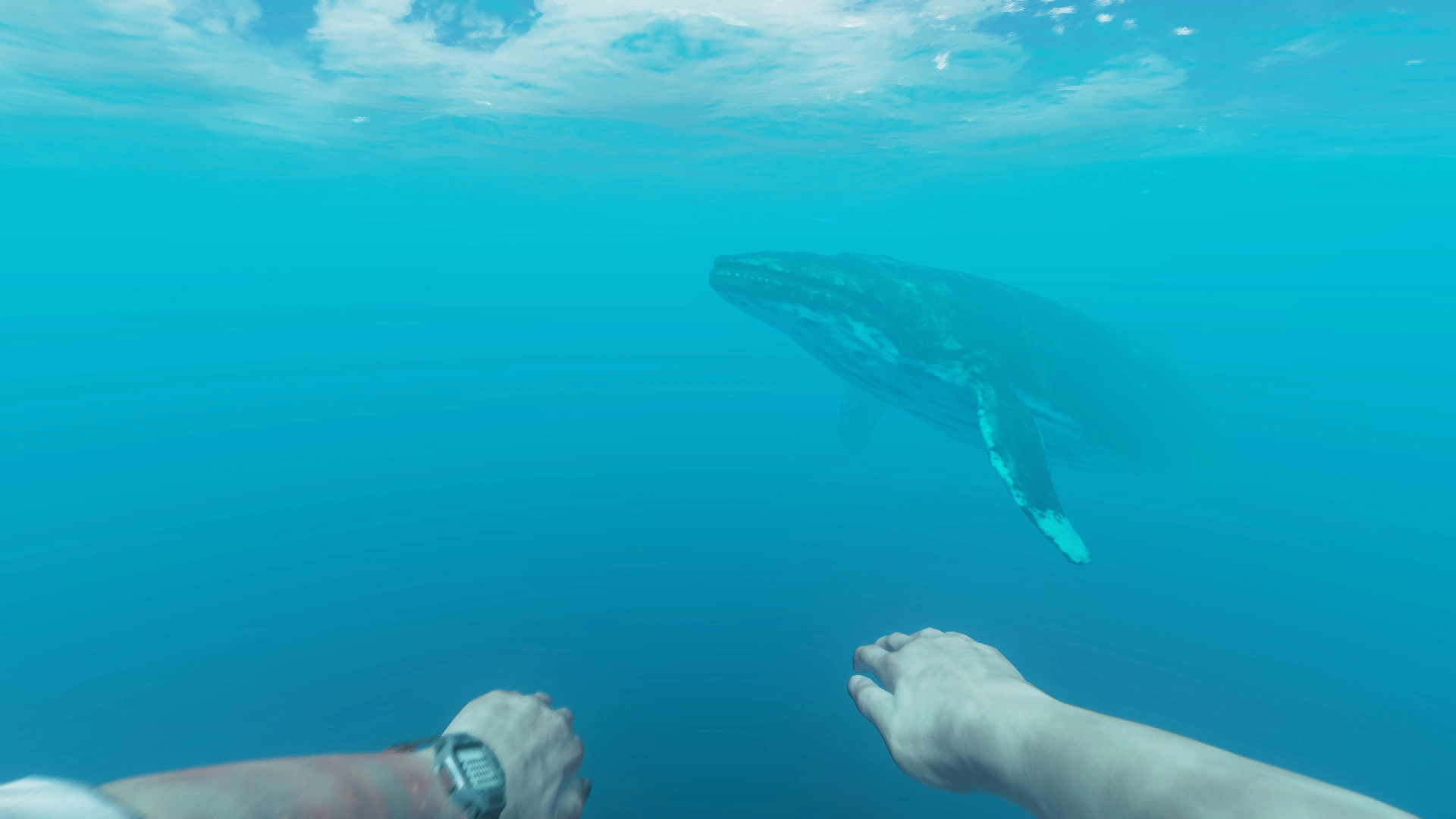 Stranded Deep - Additional Image 5