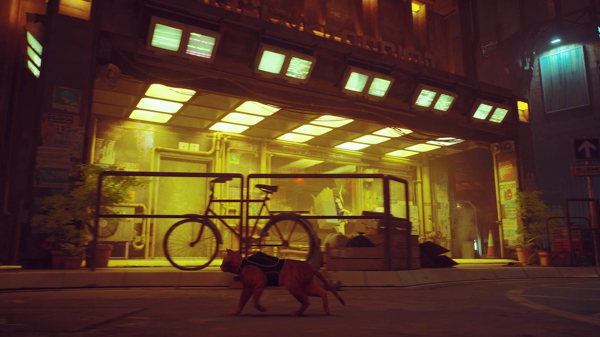 Stray - Additional Image 0