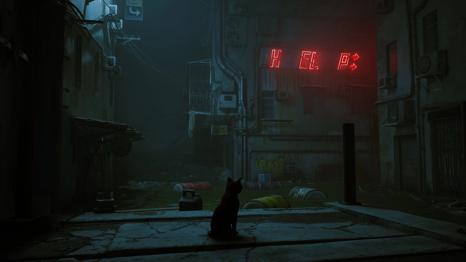 Stray - Additional Image 5