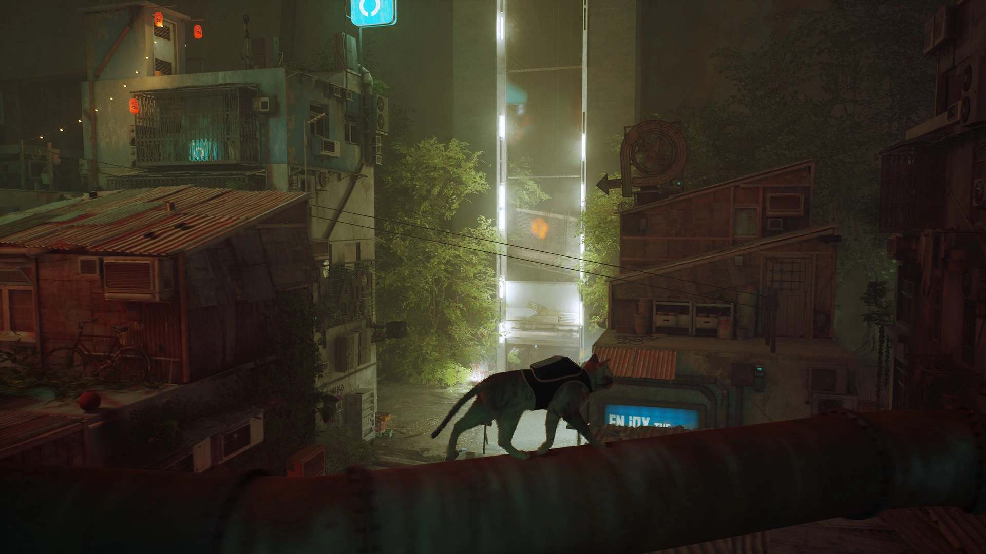 Stray - Additional Image 6