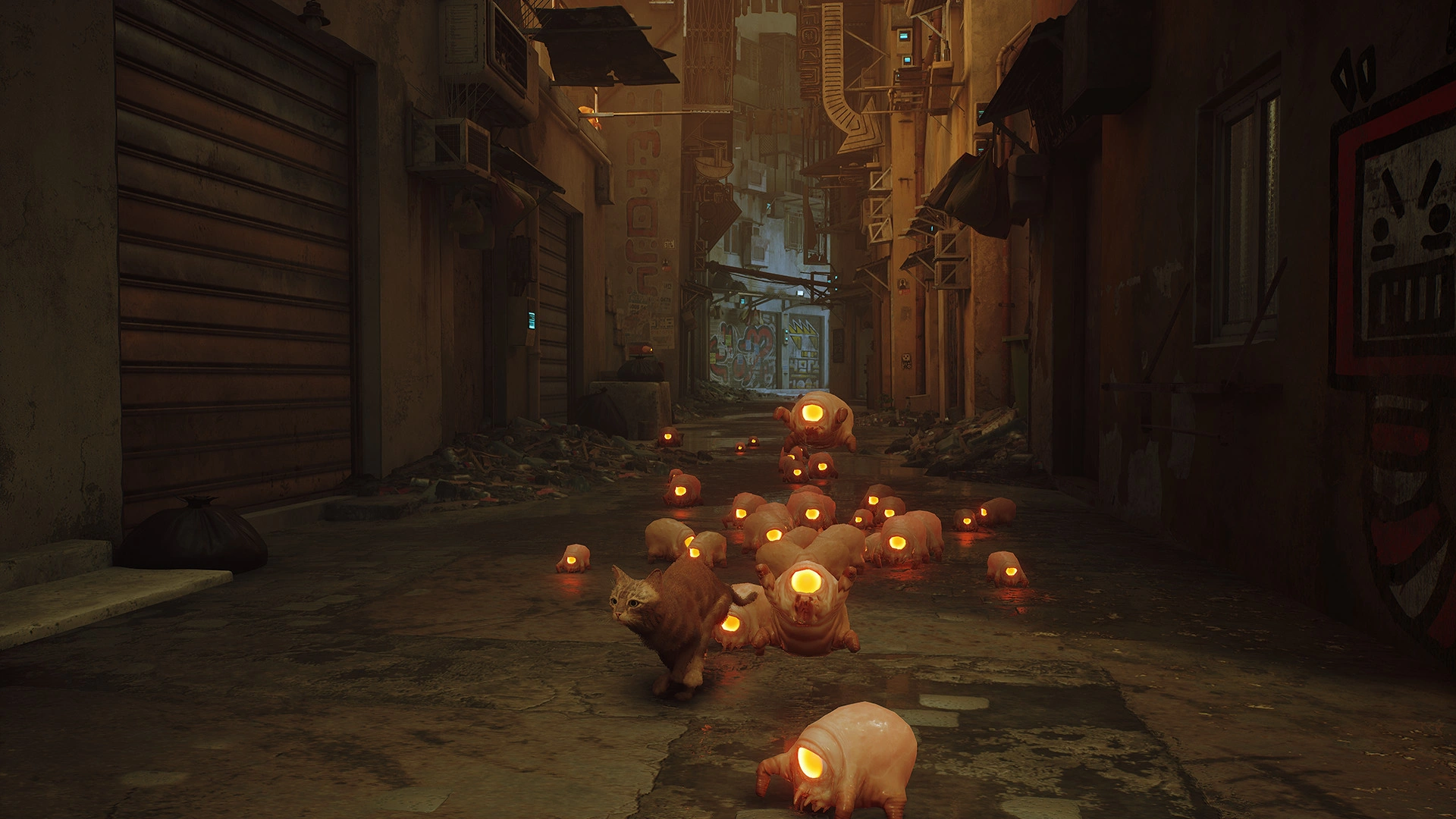 Stray - Additional Image 3