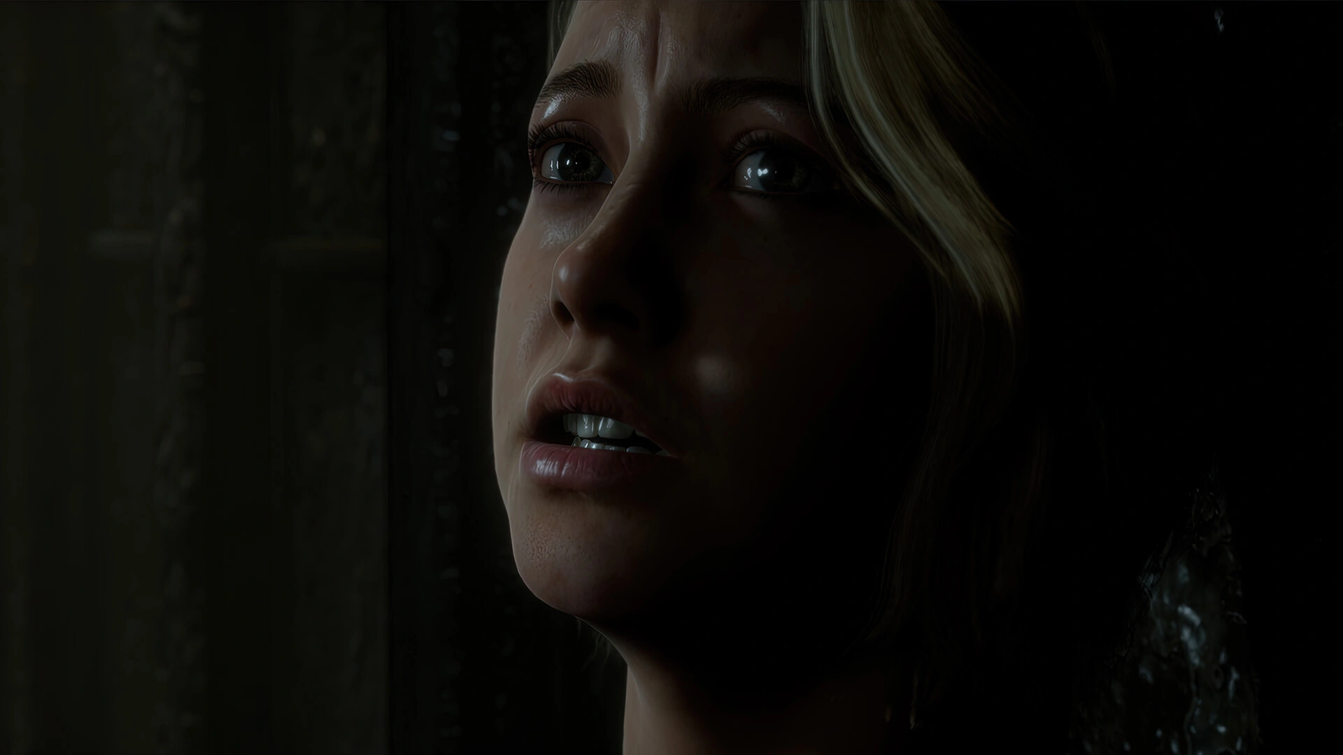 The Dark Pictures Anthology: Man of Medan - Additional Image 9
