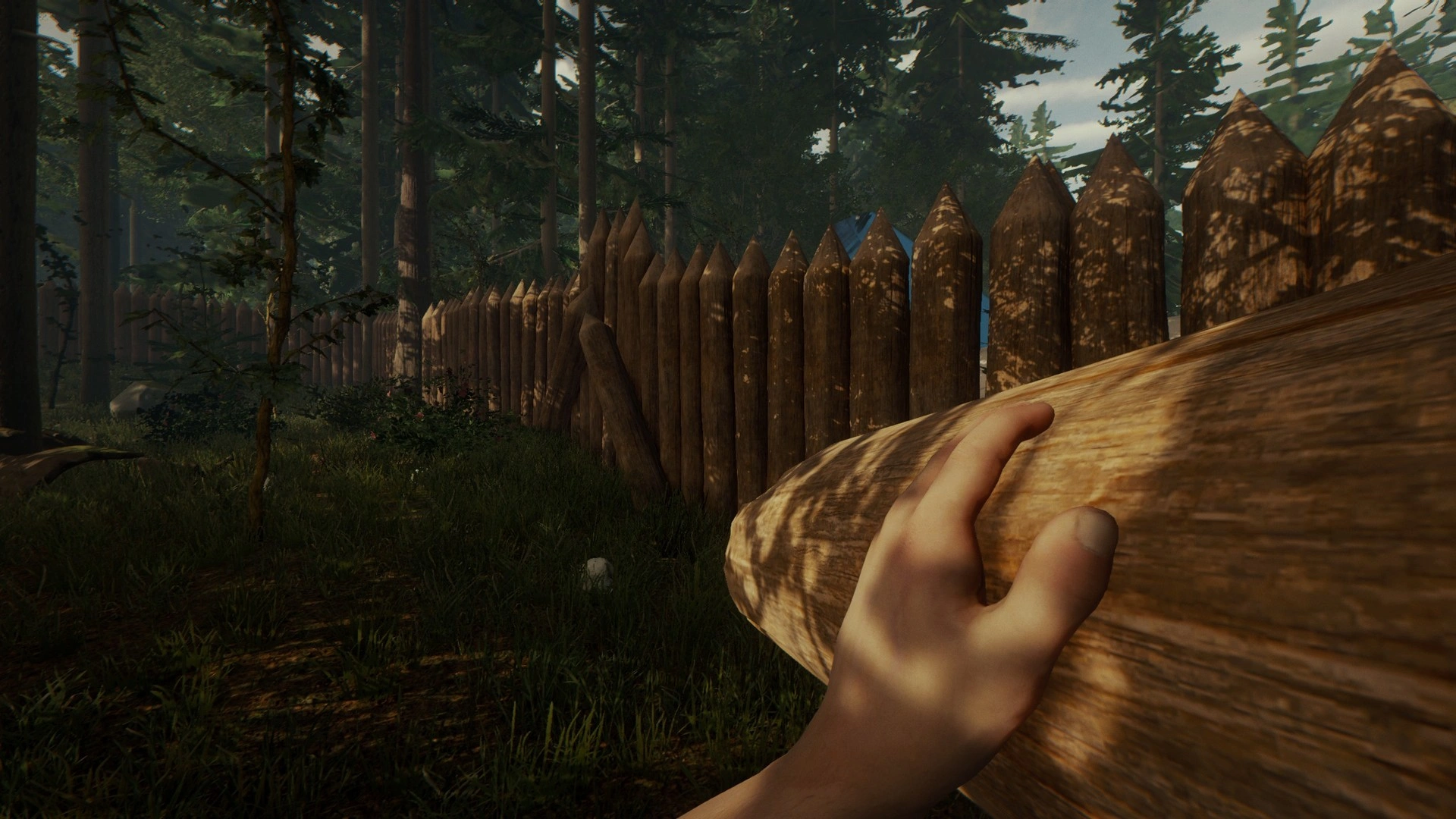 The Forest - Additional Image 5