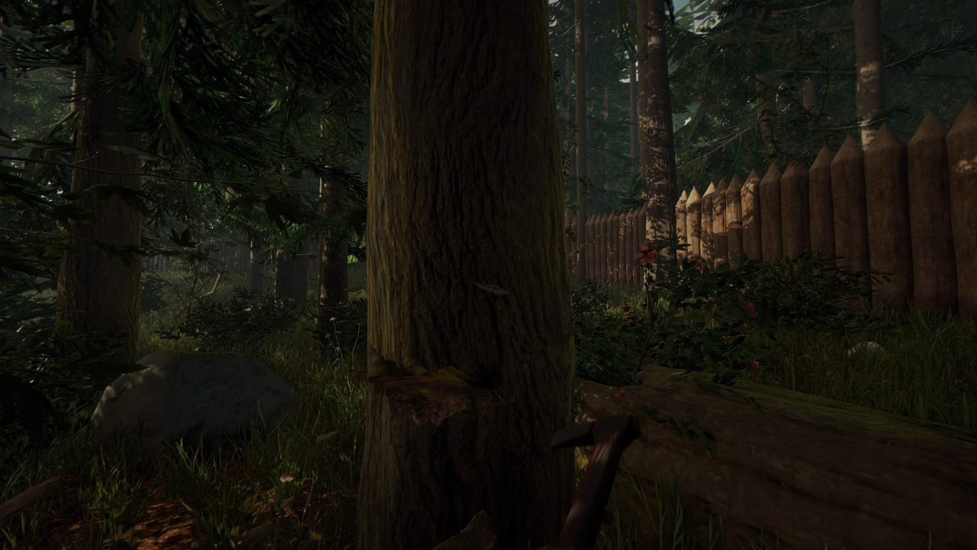 The Forest - Additional Image 10