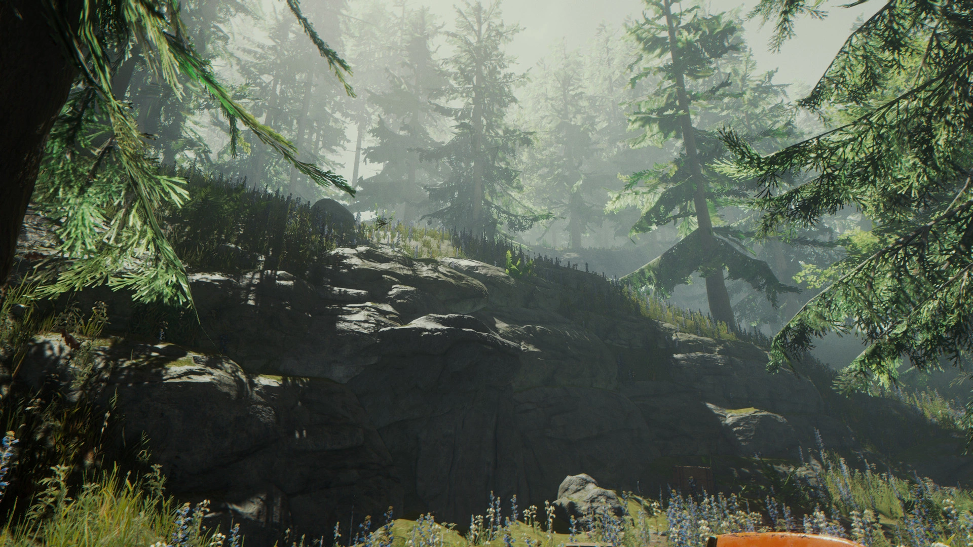The Forest - Additional Image 1