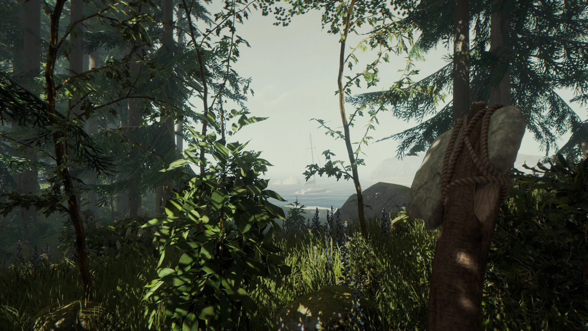 The Forest - Additional Image 13