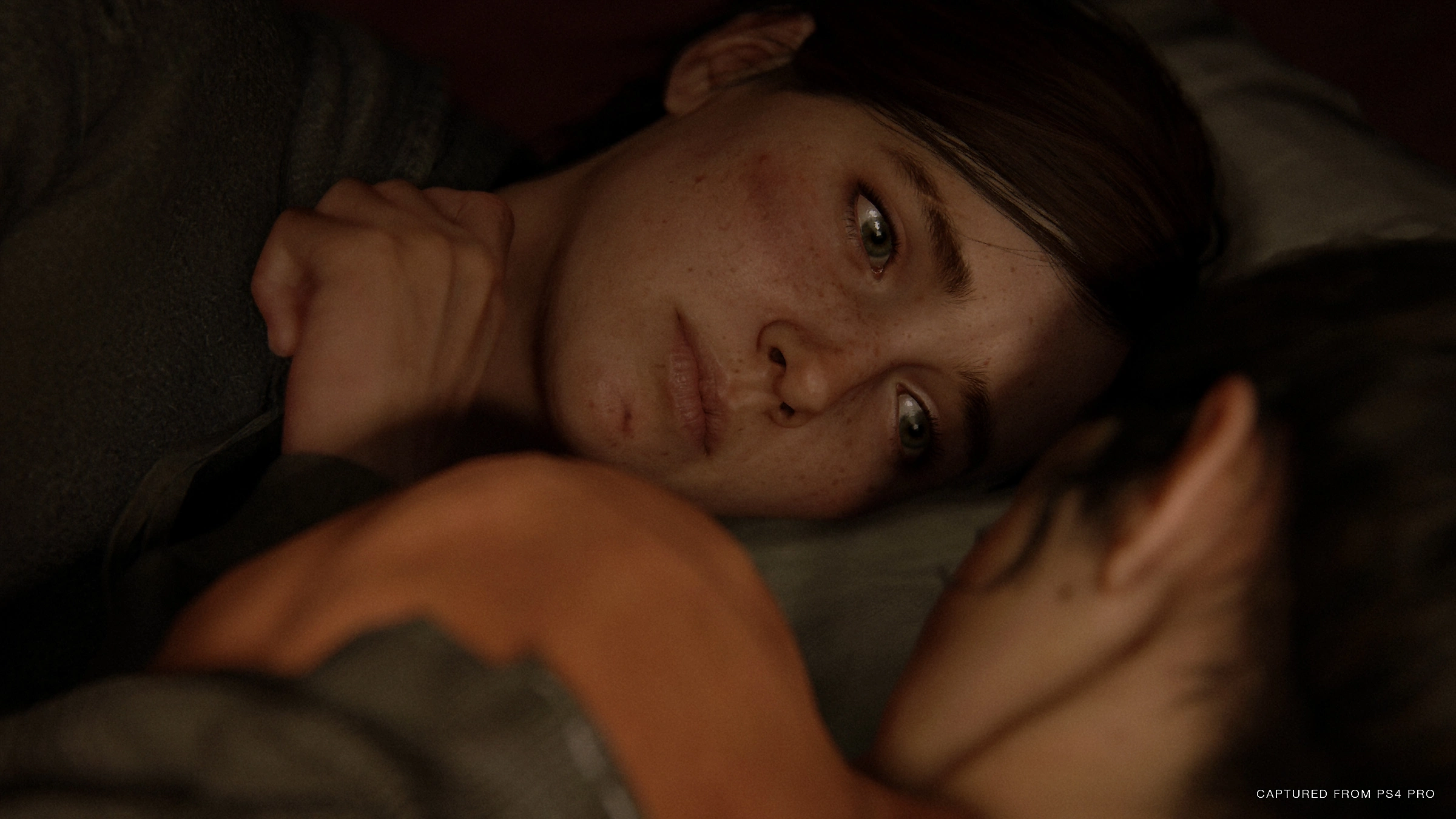 The Last of Us Part II Remastered - Additional Image 0