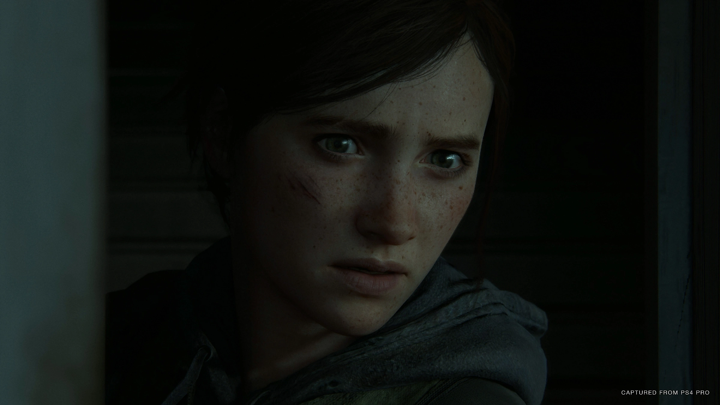 The Last of Us Part II Remastered - Additional Image 1