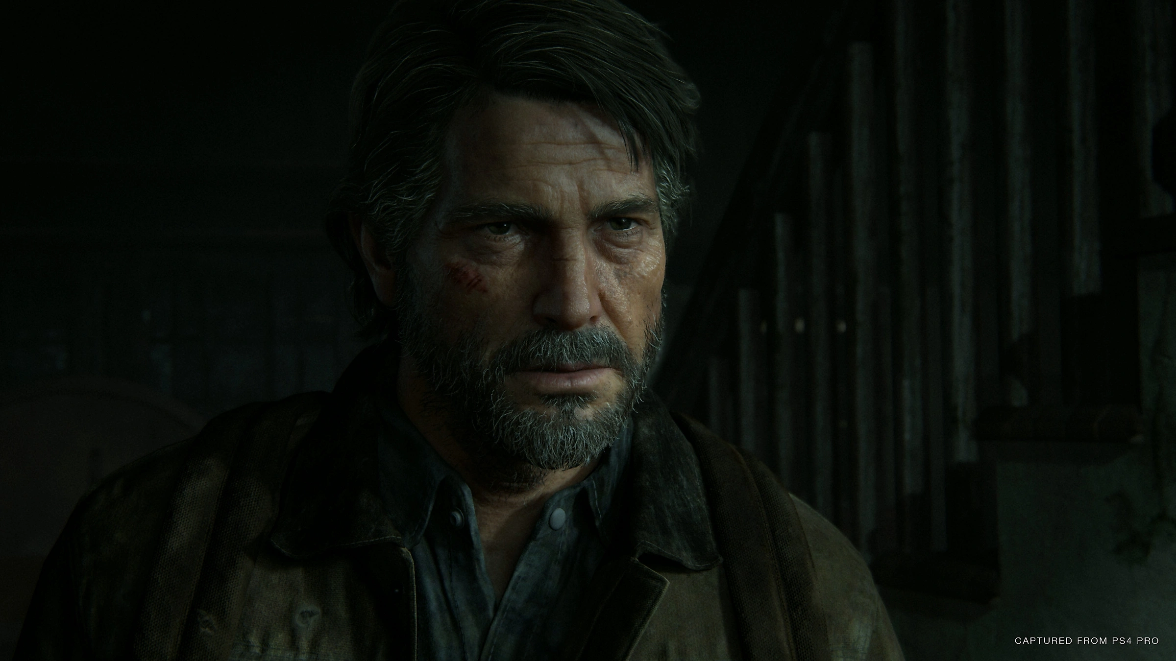 The Last of Us Part II Remastered - Additional Image 4