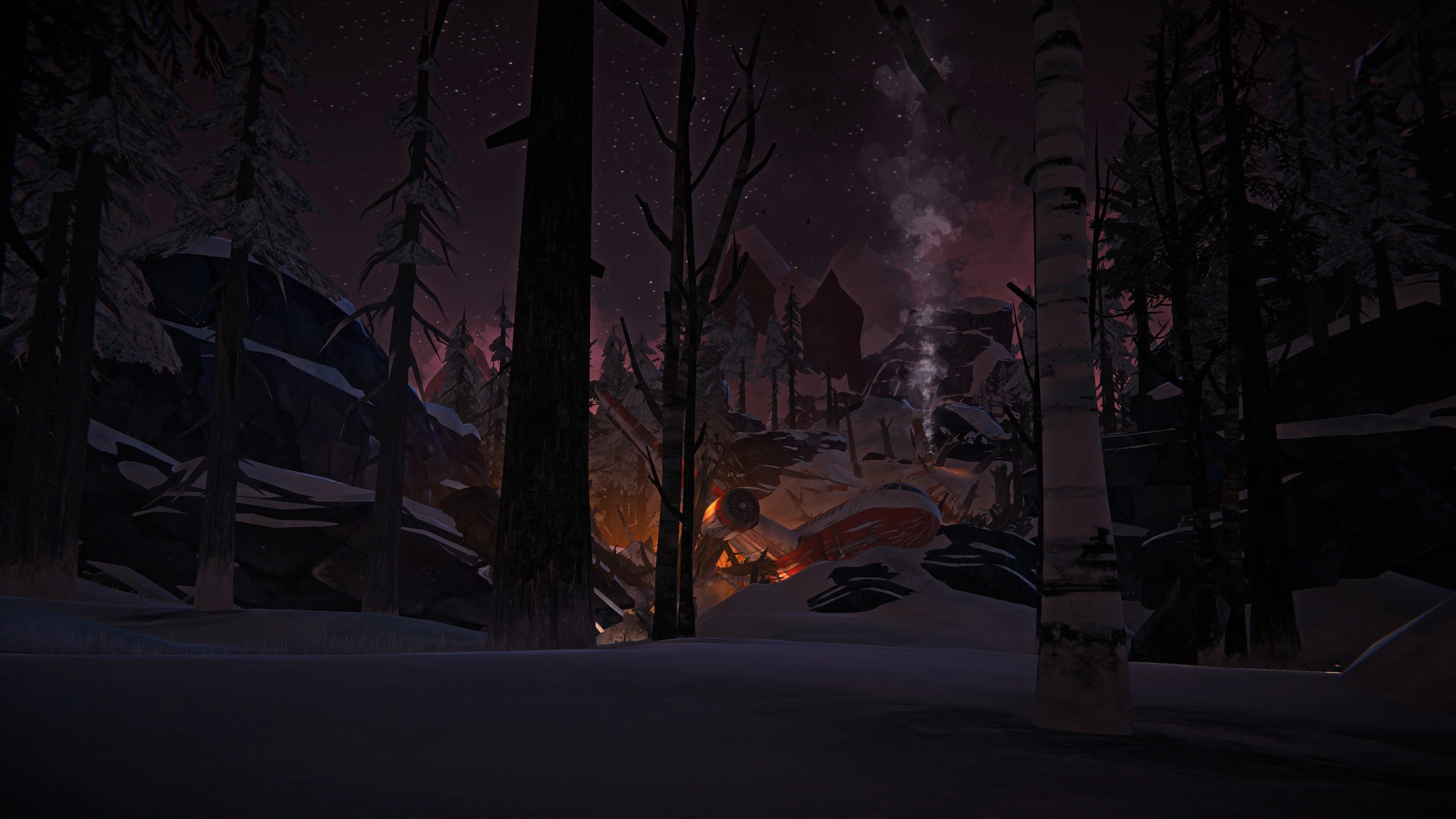 The Long Dark - Additional Image 15