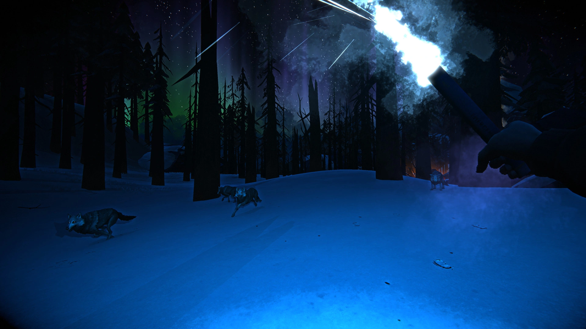 The Long Dark - Additional Image 2