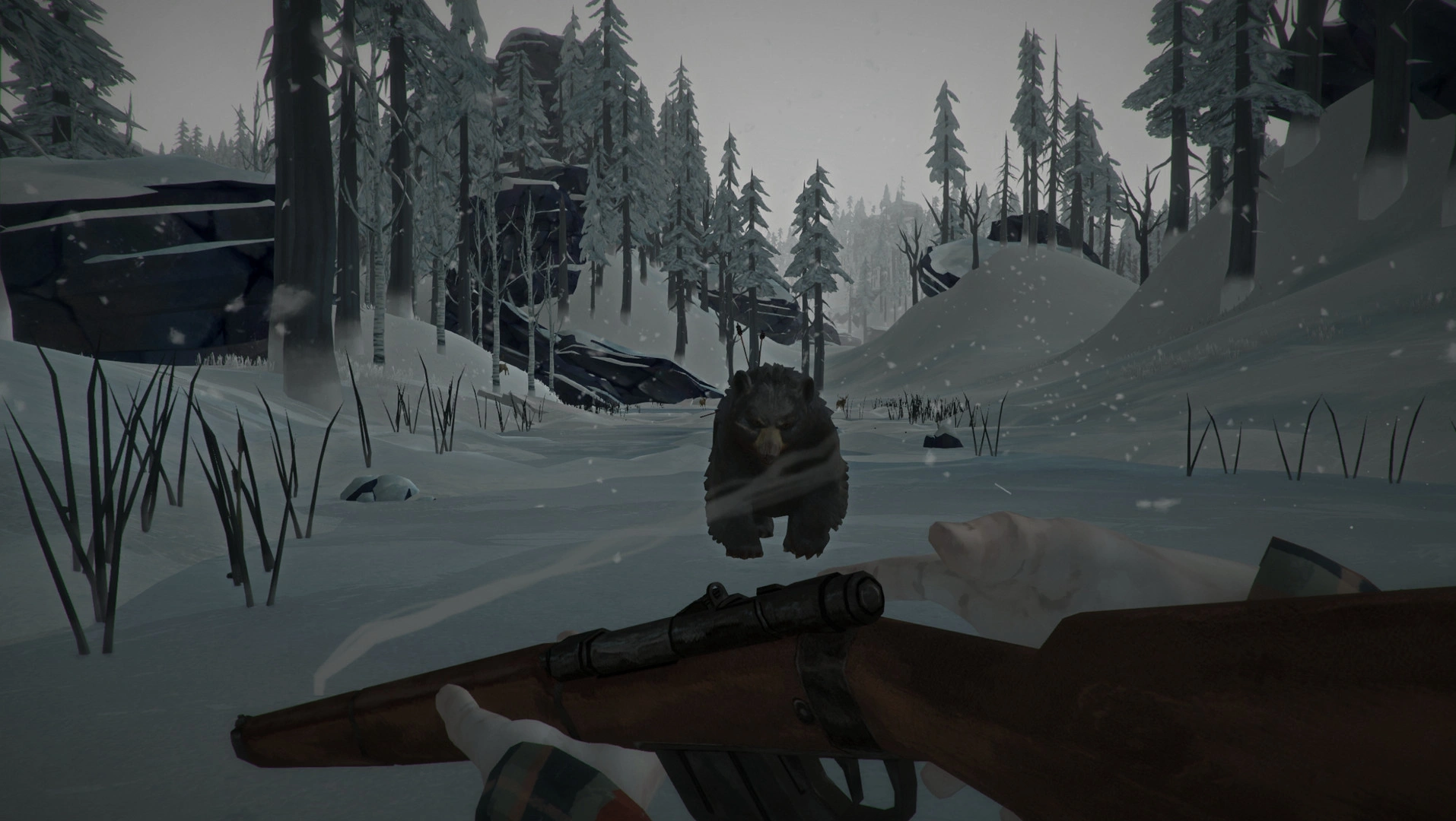 The Long Dark - Additional Image 5