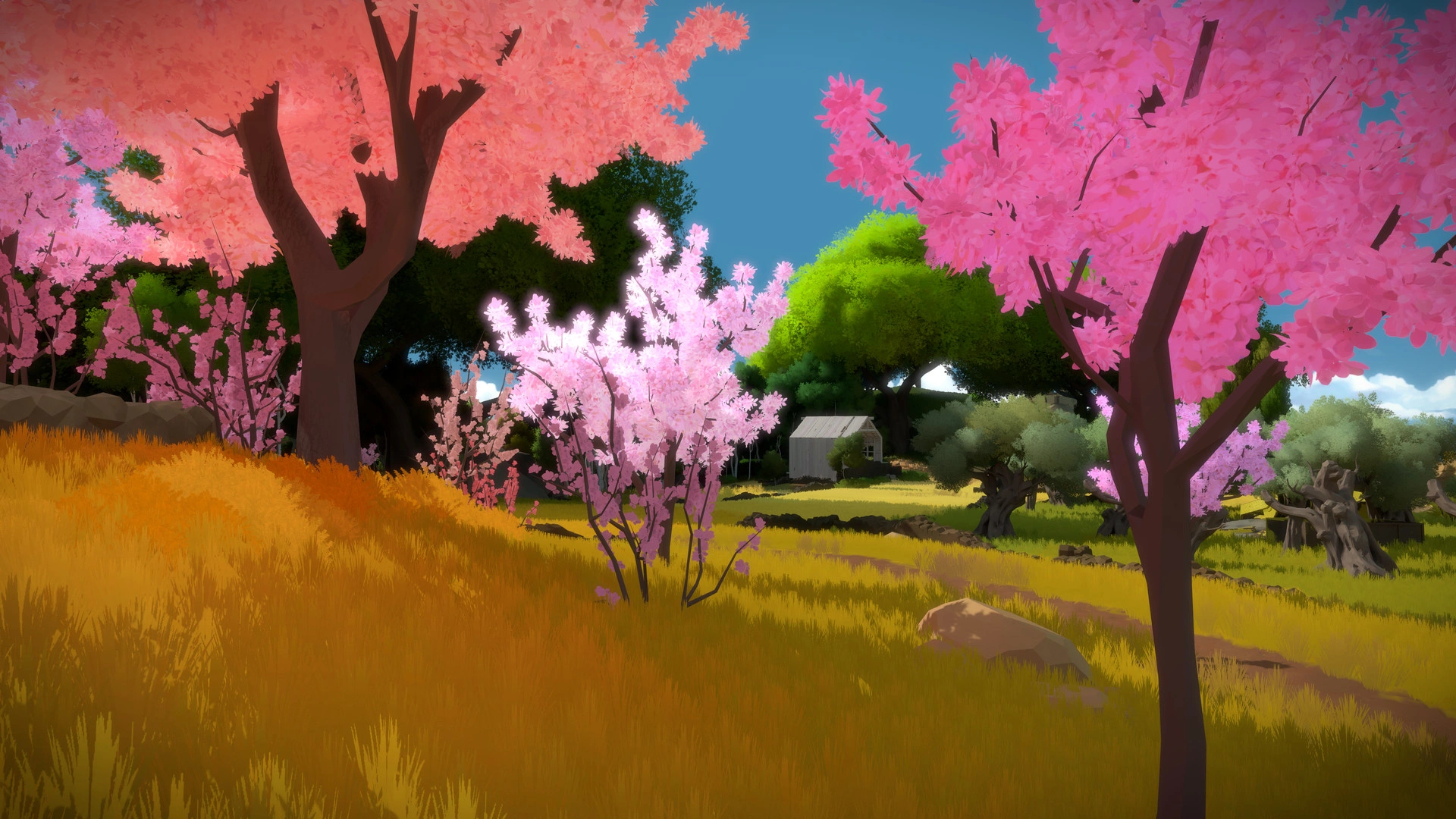 The Witness - Additional Image 4