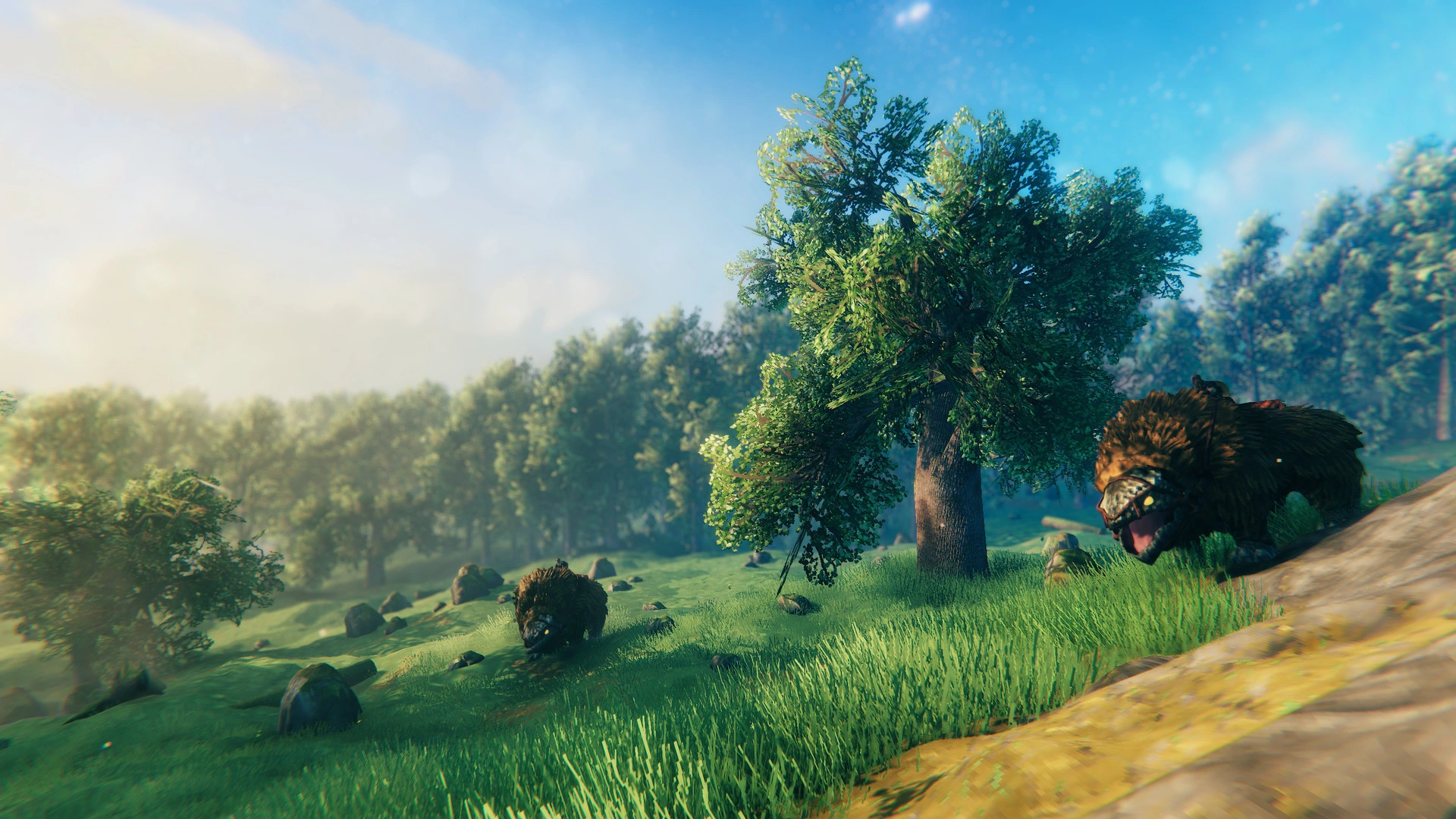Valheim - Additional Image 2