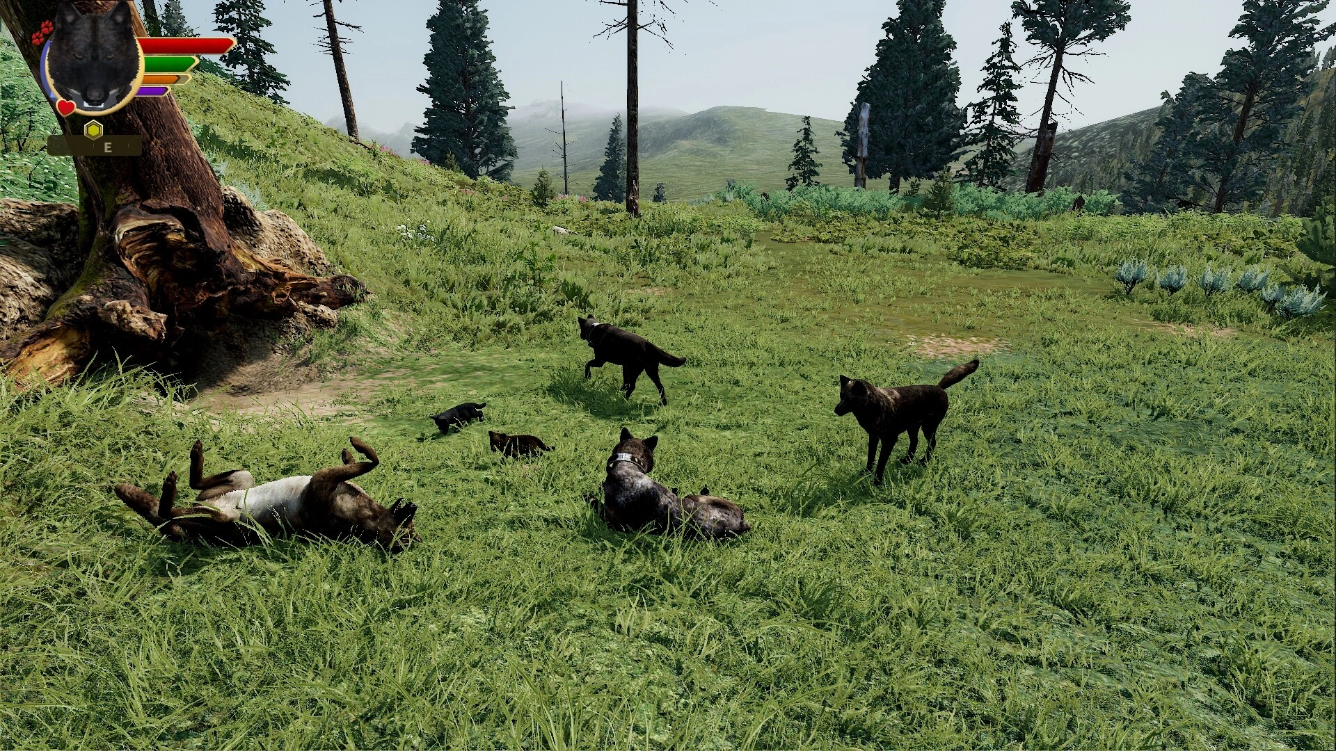 WolfQuest: Anniversary Edition - Additional Image 5